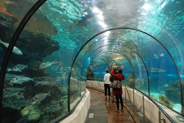 Oceanographic Institute - Nha Trang shore excursions