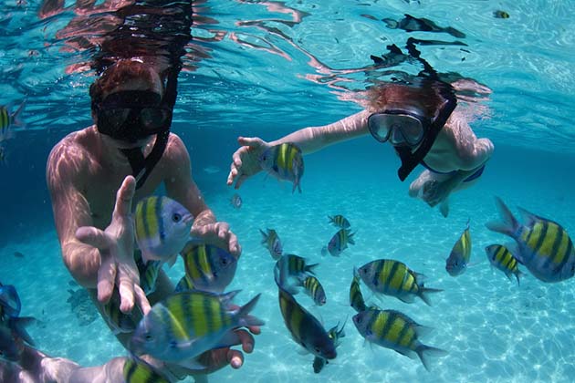 Koh Samui Snorkeling