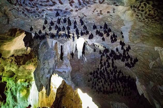 Bat-Cave-Langkawi