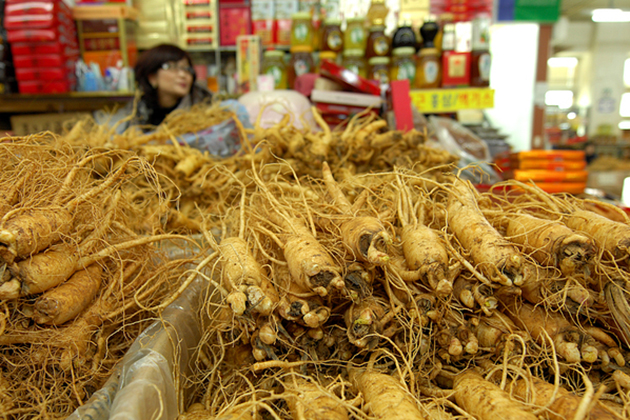 Korean ginseng center