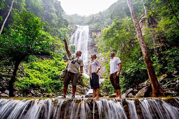 Langkawi-Rainforest-Water-Stream