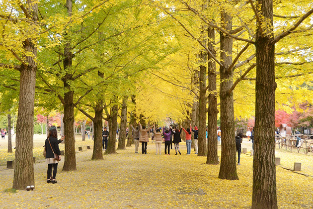 Nami Island