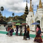 Frank Bonoff Shore Excursions Reviews Yangon