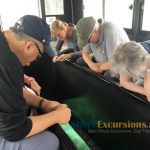 Sylvia Roscoe Shore Excursions Reviews