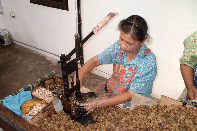 Cashew-Nut-Factory - Phuket shore excursions