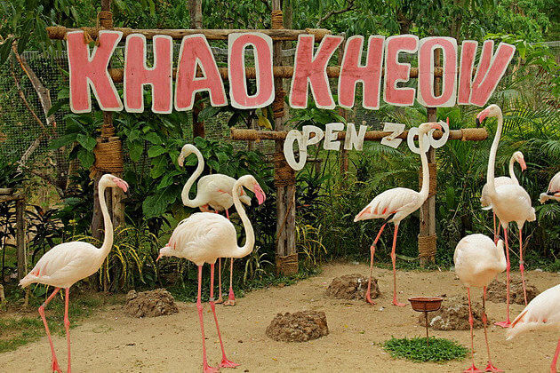 Khao-Kheow-Open-Safari-Park