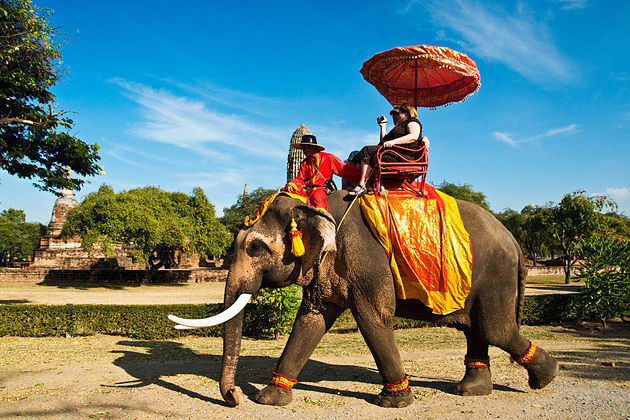 Koh Samui Eco Adventure