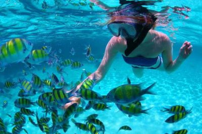 Koh Tan swimming