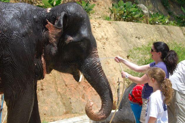 Siam-Safari-Elephant-Camp