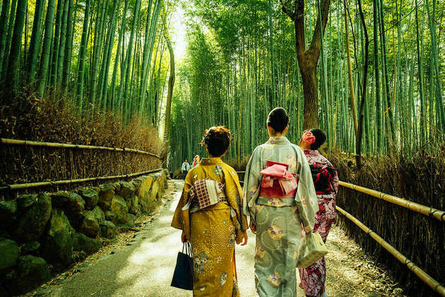 Arashiyama Bamboo Forest - Kyoto shore excursions