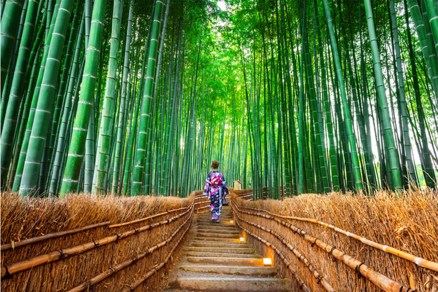 Arashiyama Bamboo Forest