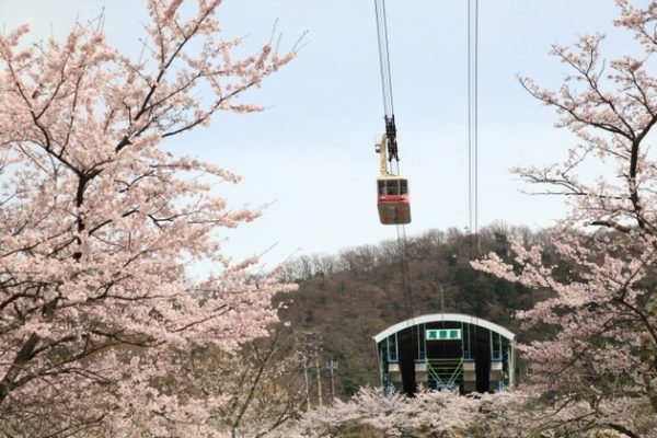 Beppu Ropeway to Mount Tsurumi