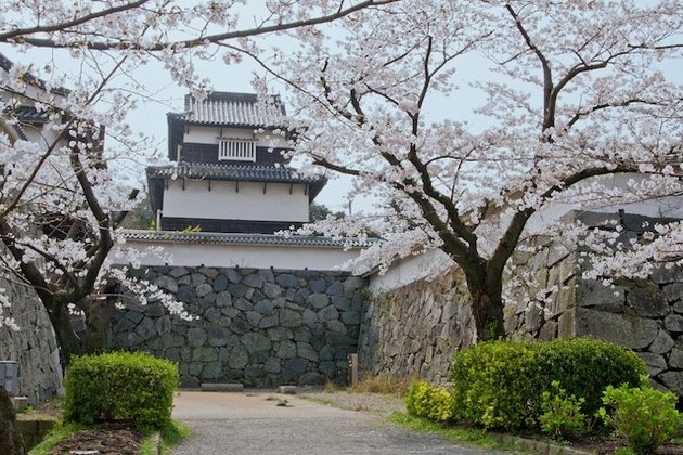 Fukuoka Castle viewing spot