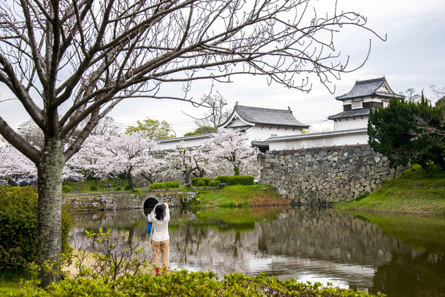 Fukuoka Castle