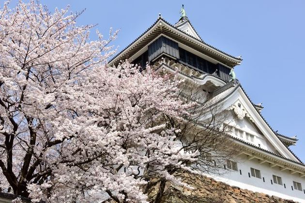 Kitakyushu shore excursions - Kokura Castle