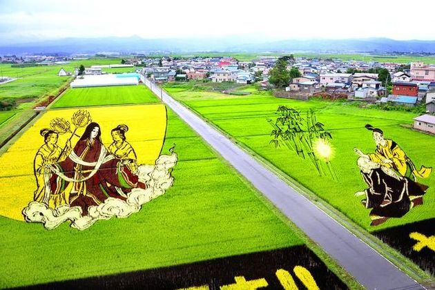 Rice Paddy Art