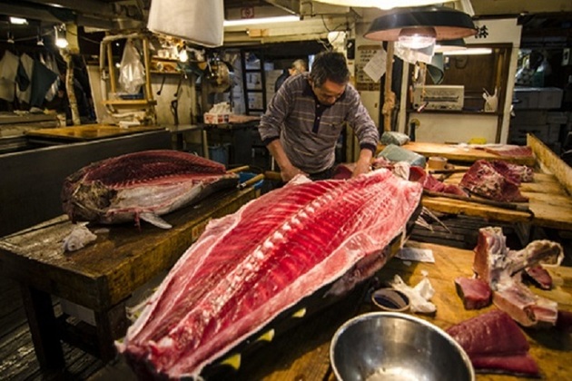 Tsukiji fish market Japan