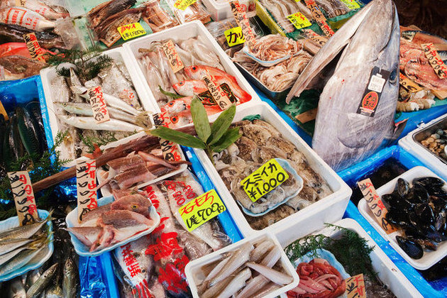 Tsukiji fish market selling marine products