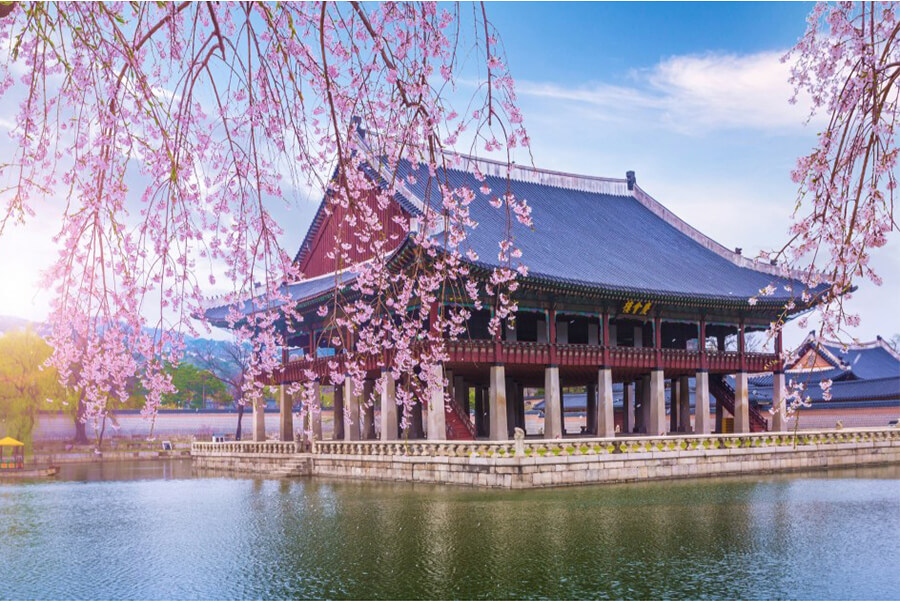 Best Things to Do and See in Seoul Shore Excursions