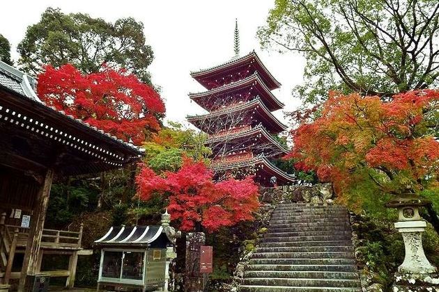 Chikurin-Ji Temple