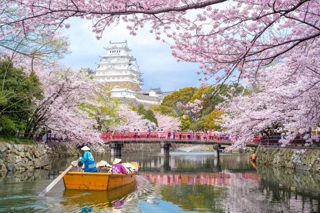 Himeji Castle overview