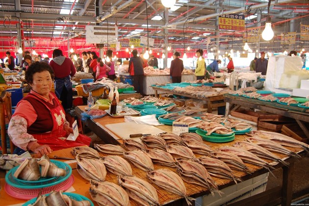 Jagalchi Fish Market in Busan shore excursions