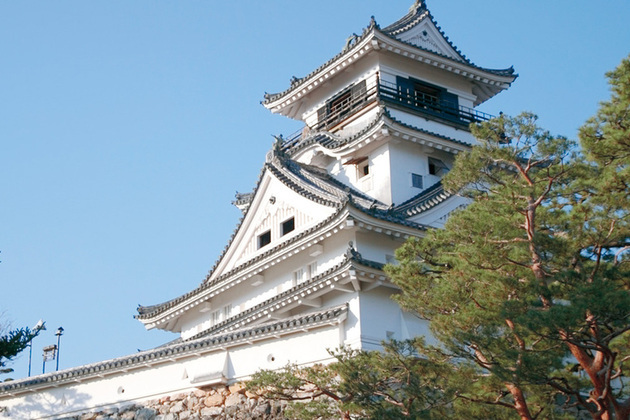 Kochi Castle attractions for shore excursions