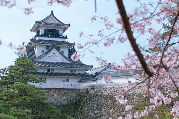 Kochi Castle shore excursions