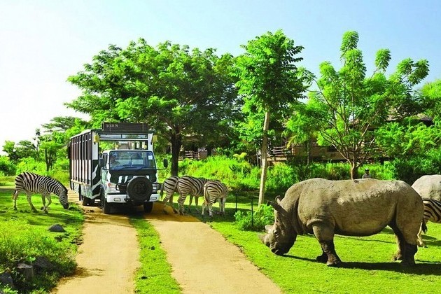 Safari-World-bangkok open zoo