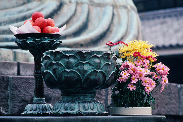 Worship Buddhism in Kotokuin Temple