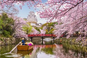 Best Places to Visit in Japan