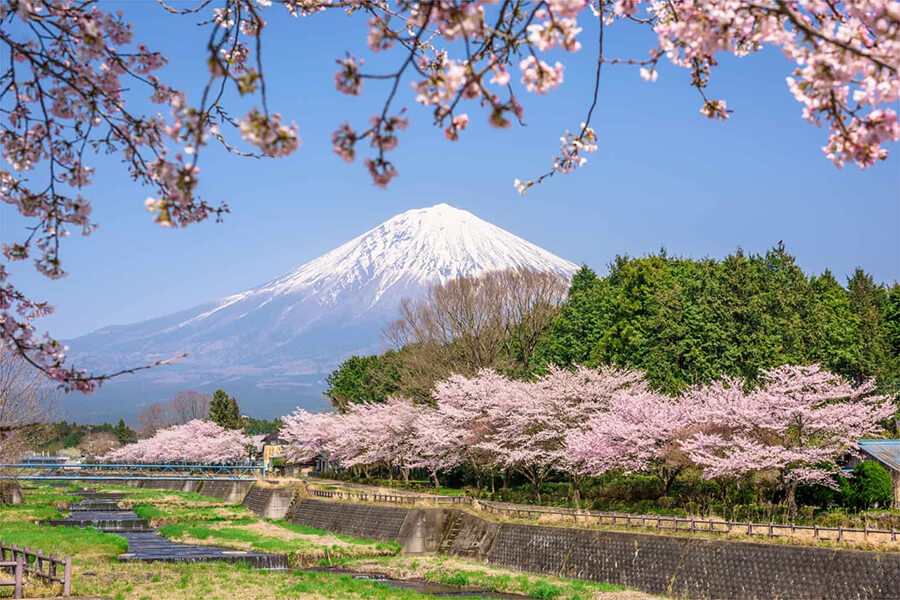 Best Time to Enjoy Japan Shore Excursions by Regions