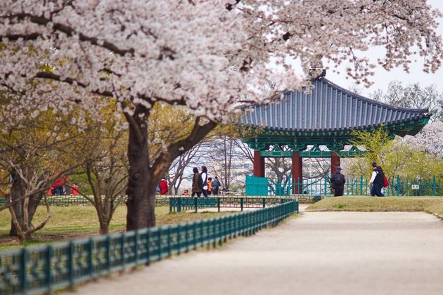 Gyeongju Donggung Palace & Wolji Pond in Korea shore excursions