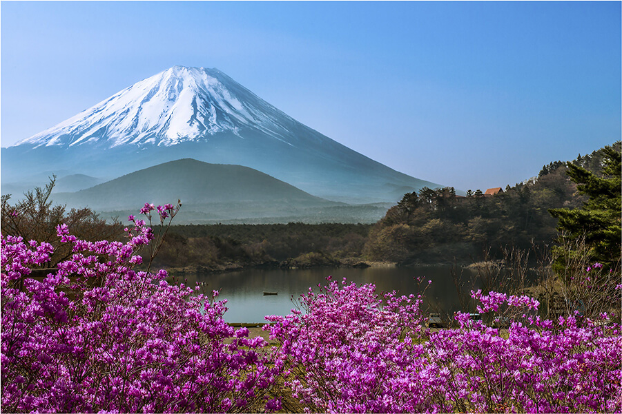 How to Experience Summer in Japan