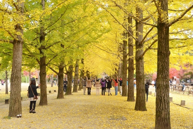 Korea weather in Autumn - Korea shore excursions