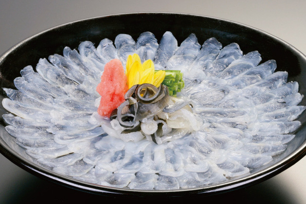 Puffer fish in Kitakyushu shore excursions