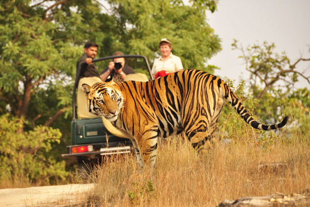 Ranthambore National Park