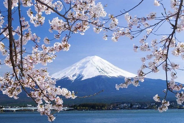 the best time to visit Shimizu - Mt. Fuji shore excursions