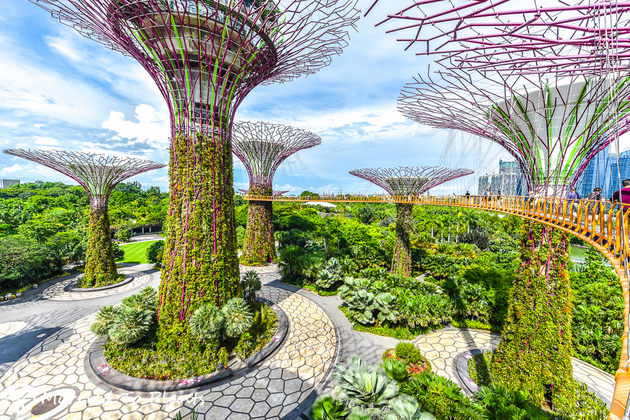 Gardens by the Bay - Singapore day tours