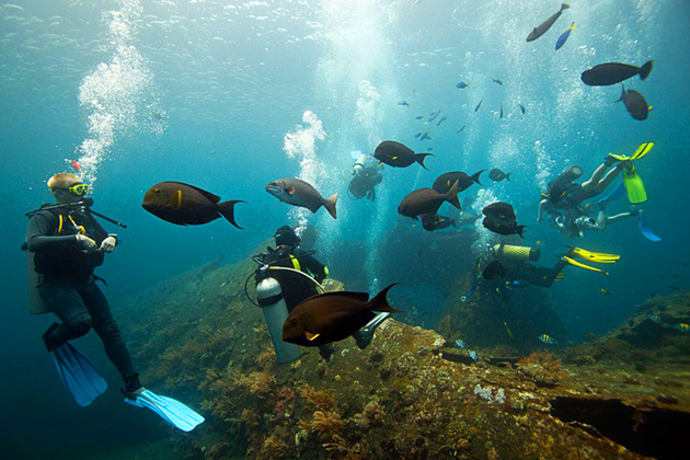 Liberty Wreck in Bali day tour