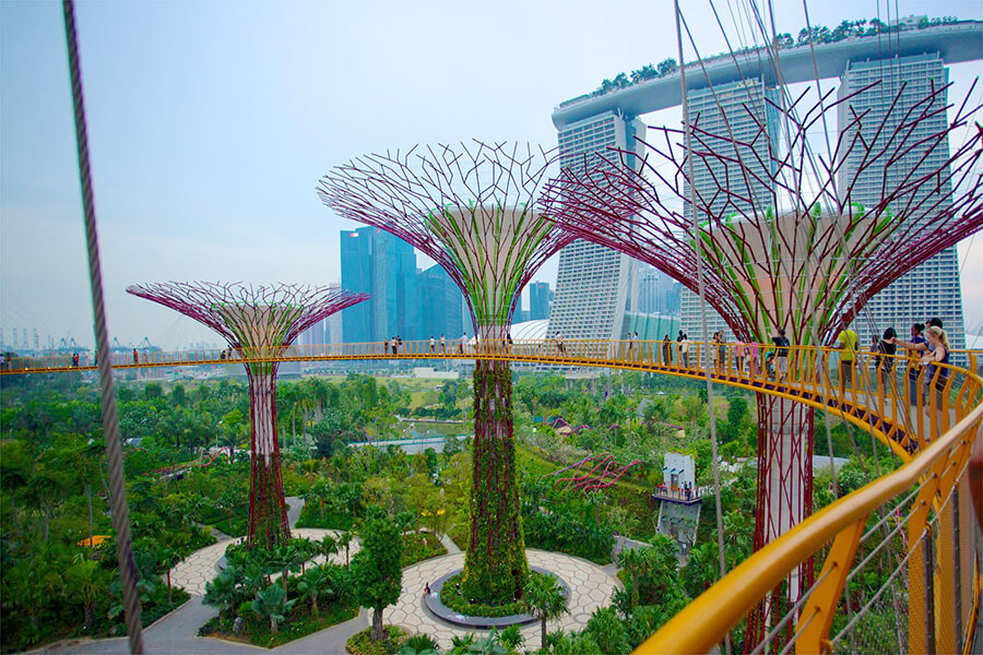 Top Experiences for Singapore Day Tours