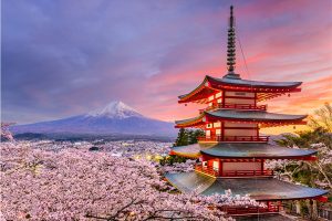 Typical Costs and Saving Hack When Travel to Japan