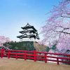 Hirosaki-Castle-Aomori-shore-excursions