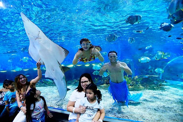 Manila Ocean Park - Philippines shore excursions