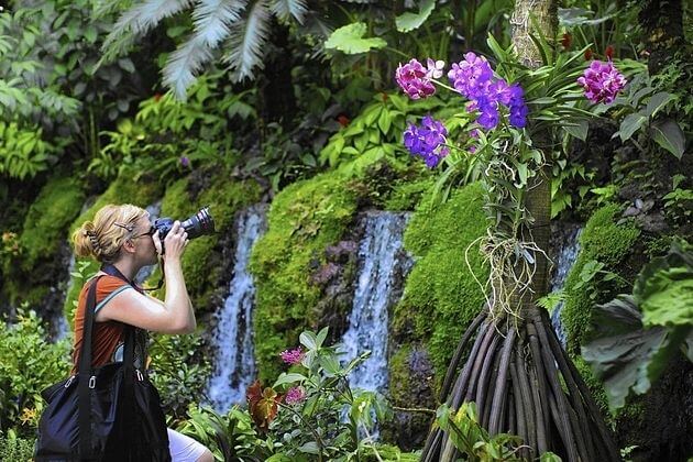 Singapore-Botanic-Gardens