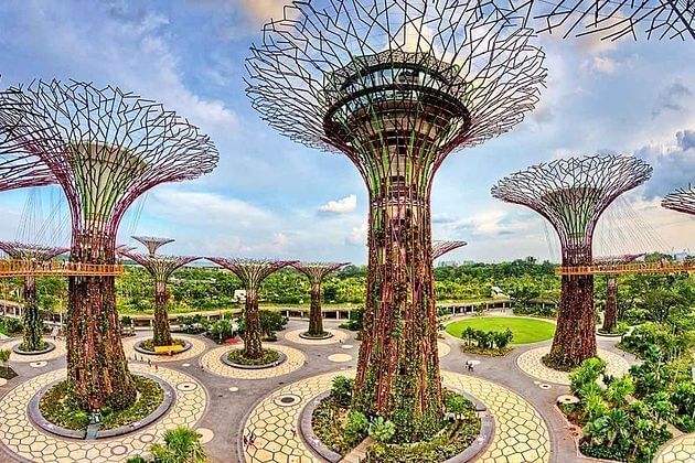 Singapores-Gardens-by-the-Bay-with-Lunch