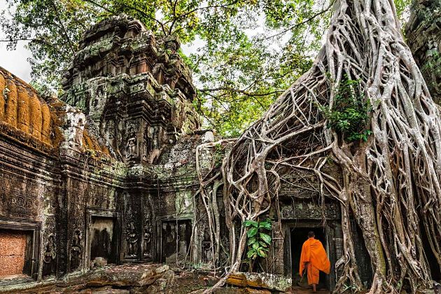 Ta Prohm - Cambodia shore excursions