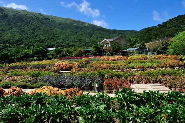 Yangmingshan National Park in Taipei shore excursions