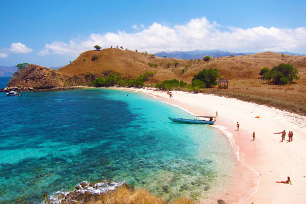 Pink Beach at Komodo Island