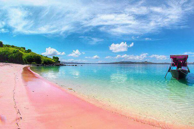 Pink Beack - Komodo island shore excursions